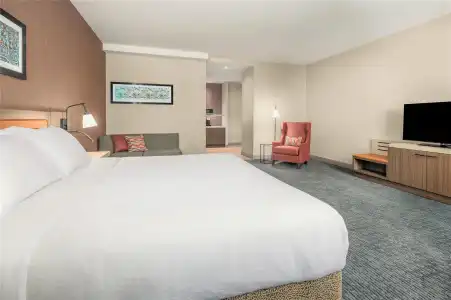 Hilton Garden Inn Chicago Central Loop - 24
