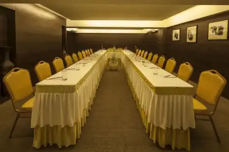 Vesta International - 17