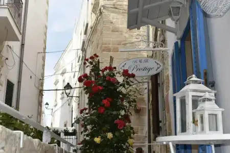B&B Prestige - 0