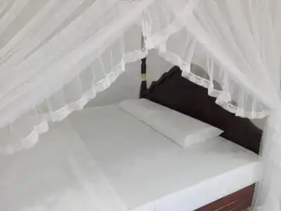 Mirissa Cocoon - 63
