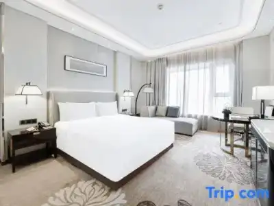 Wyndham Grand Plaza Royale Huayu Chongqing - 9