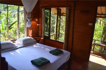 Khao Sok Riverside Cottage - 126