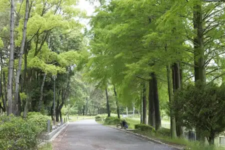 MINAMISENRI Crystal - 12