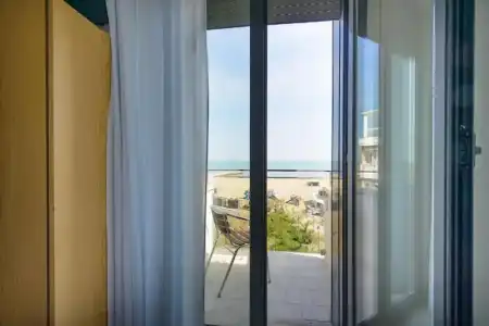 Paloma - 36