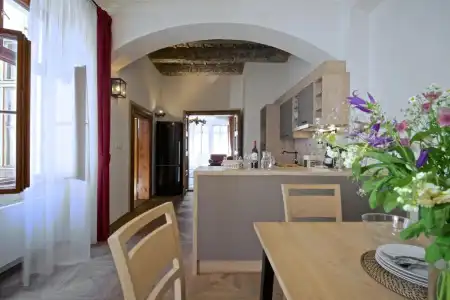 Residence U Mecenáše - 234