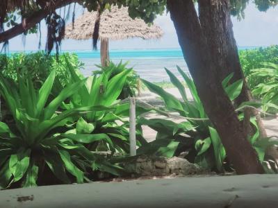Garden Beach Bungalows Jambiani - 43