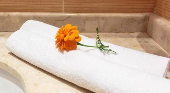 TUI SUNEO Serenity Bay - 10