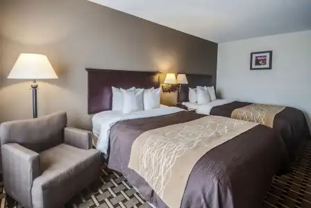 Comfort Inn & Suites - 6