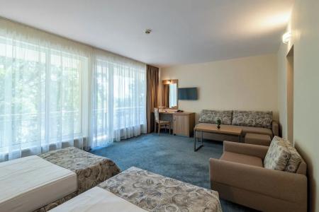 BSA Gradina All Inclusive - 91