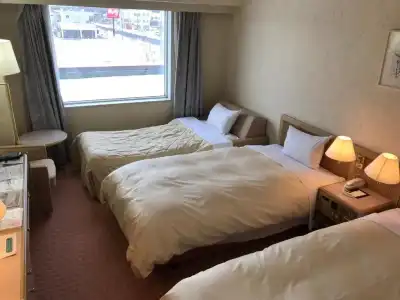Grand Terrace Chitose - 70