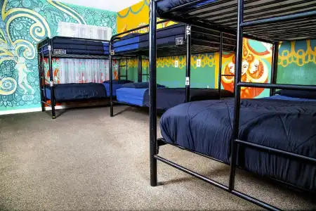 Drifter Jack's Hostel - 3
