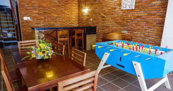 Ananas Family - 13