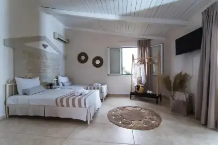 Le Palme - 50