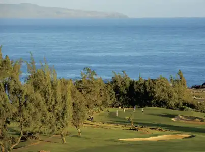 The Ritz-Carlton Maui, Kapalua - 33