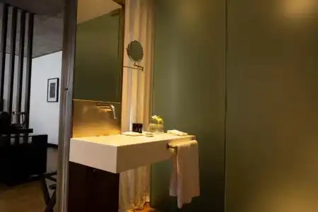 Anselmo Buenos Aires Curio Collection By Hilton - 41