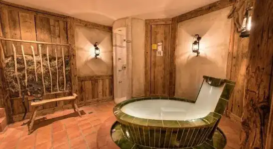 Hôtel des Alpes - 15