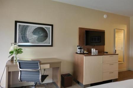DoubleTree by Hilton Williamsburg - 65