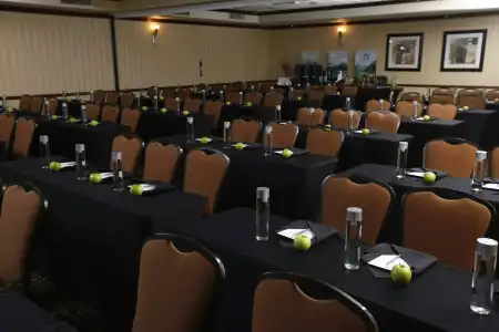 Embassy Suites Lubbock - 14