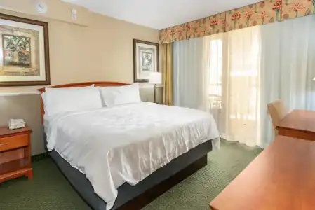 Holiday Inn & Suites Clearwater Beach by IHG - 35