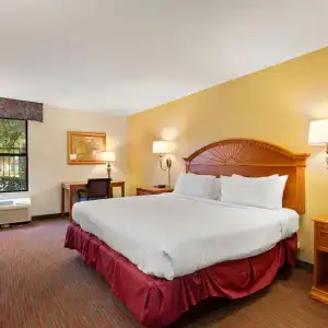 Orlando Palms - 30