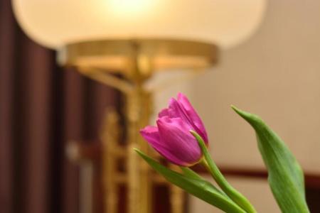 Boutique Villa Mtiebi - 95