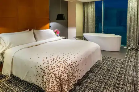 Renaissance Santiago by Marriott - 83