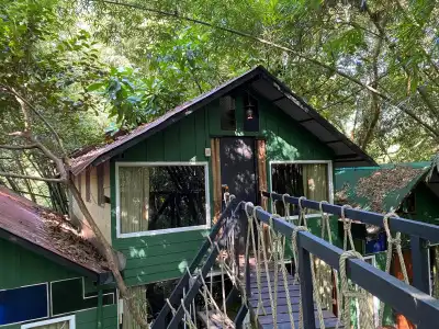 Khao Sok Tree House - 48