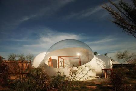 Green Land Bubble Glamping - 44