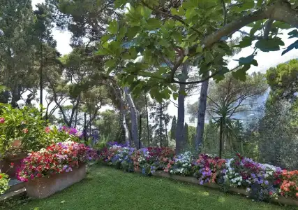 Villa Brunella - 55