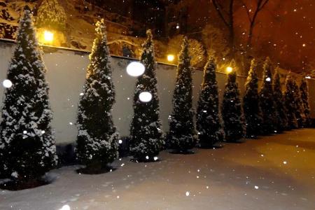 Park Avenue - 18