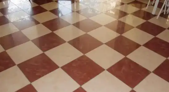 Renadoro - 6