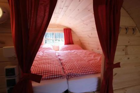 Azur Waldcamping Auwaldsee - 30