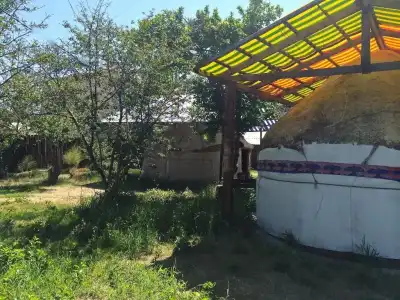 Turkestan Yurt Camp - 22