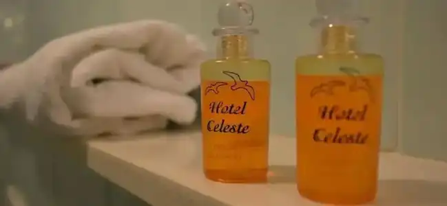 Celeste - 35
