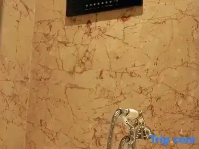 Optics Vally Kingdom Plaza - 96
