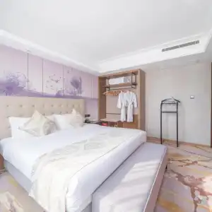 Wuhan Hongguang - 29