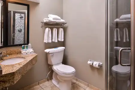 Holiday Inn Express & Suites Topeka West I-70 Wanamaker by IHG - 34