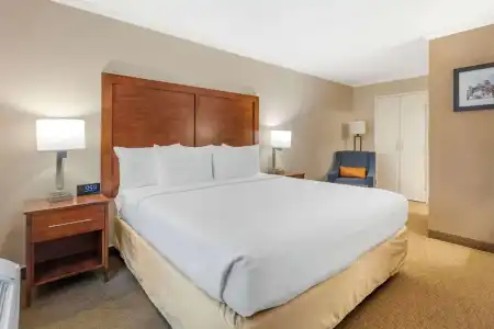 Comfort Inn Santa Monica - West Los Angeles - 60