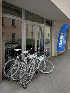 Business & Family Ambiente Apartments - 8