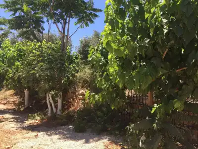 Olympos Mocamp Kas - 4