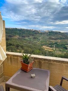 Gozo Hills Bed and Breakfast - 5