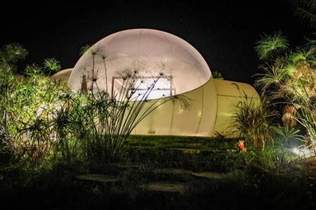 Green Land Bubble Glamping - 20