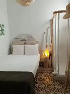 Cactus Host - 2