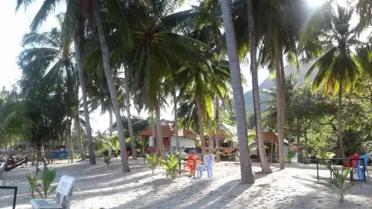 Kiki Coconut Beach Resort - 46