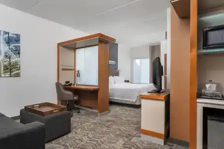SpringHill Suites by Marriott Chattanooga Downtown/Cameron Harbor - 92