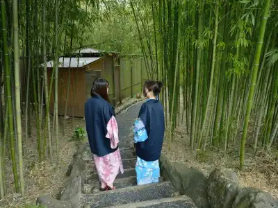 Narashino no sato Gyokusui -6 years or older- - 20
