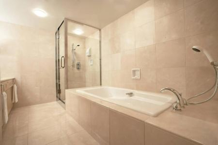 Sheraton Grande Tokyo Bay - 9