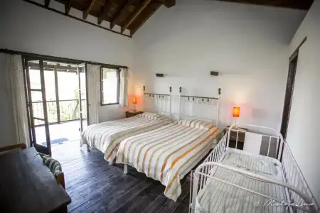 Ambelikos Traditional AgroHotel - 4