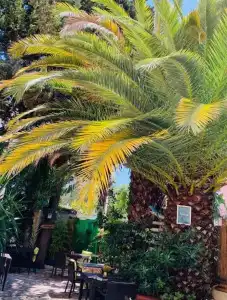 Le Petit Castel - 23