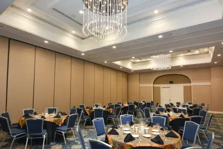 Hilton Palm Beach PBI - 19